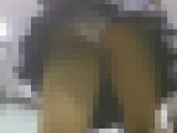 小悪魔ぷりんせす☆パンチラ娘×多数