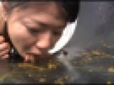 【FetishJapan】強○うんこ食わせ #014 [SFJ6-050-14]