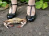 １７．詩歩ちゃんまとめ２