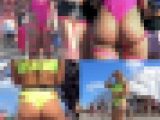 music festival collection 1