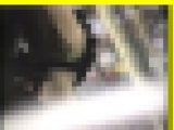 3072／「蒐集撮り・チアーでいこう（38）」