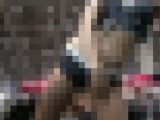 3301／「裏切り撮り・キャンちゃん危機一髪化作戦（18）」