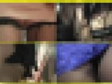 3500／「探り撮り・キャンちゃんがくれた秘境大冒険（12）」