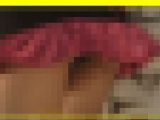 3729／「探り撮り・キャンちゃんがくれた秘境大冒険（16）」
