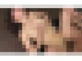 熟女たちの〇〇〇こ劇場！File.2