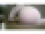 明るい美容専門学生のフェラ、手コキ後に性交