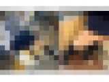 ナイハイお姉さんを追っかけてみた