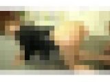 女上司の逆鬼イカセSEX！File.2