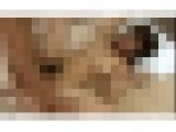 素人娘をナンパしてSEXしちゃいました！File.6