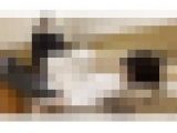 化粧品メーカー勤務OL様による ブチギレ顔面足置き＆窒息顔面騎乗