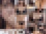 【巨乳熟女】ポチャEカップの内気な奥様がデカチンに理性崩壊し絶頂連発した動画がこちらです【嫁ちゃん倉庫】
