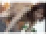 美熟女のセックス大全集①