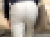 《王道OL白パンツスタイル！仕事ができる美女のデカいお尻》