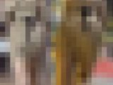 スタイル抜群なミニスカワンピース美女