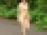 ◆素人投稿動画 画面拡大/画質向上版 野外で裸にしたらびっくりのナイスボディでおまけにあそこはパイパンのかわいいOLさん 【Pa