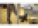 【4K動画】同僚OLの卑猥すぎる黒ストッキング美脚総集編