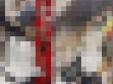 コンビニ胸チラ【店内痴獄】女性ひとりのお買い物にご注意ください。この映像のように触られることが多発しています。