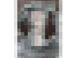 (ちょっとマニア向け)Tバック用オリモノシート+ダサいパンツ
