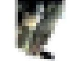 【社外秘】先輩社員の脱衣シーン