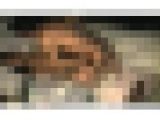ラブホ素人カップル完全ガチ盗● 性行為映像裏流出！File.2