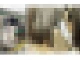 梟の痴〇報告118（朝の最強でオタク系ろり女子大生に生マン）