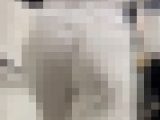 《尻下に汗染みが！？何やらかなりイヤラしそうなTラインを披露するセレブOL》