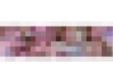 西村ニーナの歯観察 特別企画シリーズ1〜2まとめてDL