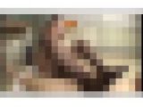 【ジャネス】制〇美人のパンストにそそられた僕はフル勃起。 #005 DFBL-006-05