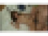 【ブリット】トモダチ羞恥 #017 EQ-302-02
