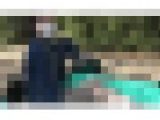 【ハプニングあり】お花見中に蜂が接近…思わず出た素の声と黒ソックスのリアルな足元