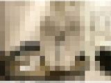 パーソナルトレーナーちか様のむごいほど臭い27.5センチ足裏写真集