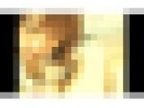 女教師秘密の放課後！File.3