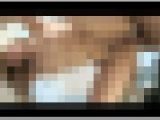 【Q-Wa】Honey Bunny #020 QHP-004-02
