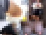 【待望の第2弾】150センチFカップちゃん！感動のノーブラ美乳と絶対領域
