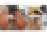 清楚な彼女と、25cmオーバーの足