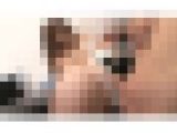 素人妻の発情スイッチをONにする勃起センズリ見せ！File.1
