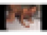 人妻モニタリング 罠とは知らずあやしい場所へ…File.2